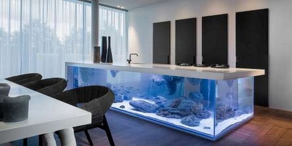 dizayn kukhni foto (83)