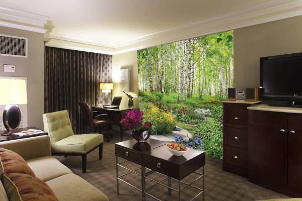 dizayn gostinoy 2025-2026 (31)