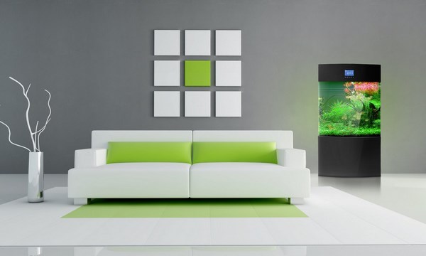 intérieur minimal vert et blanc